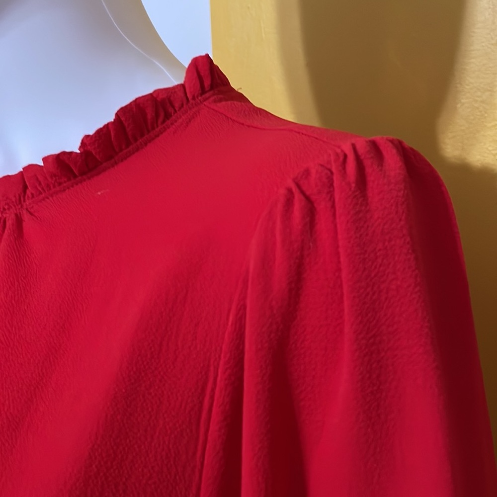Victorian Ruffle Neck Blouse - Picture 4 of 5